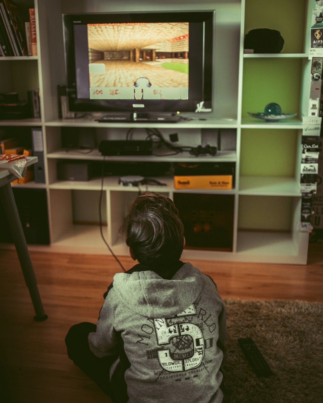 tv fan watching classic